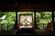 Maya ubud 19.JPG